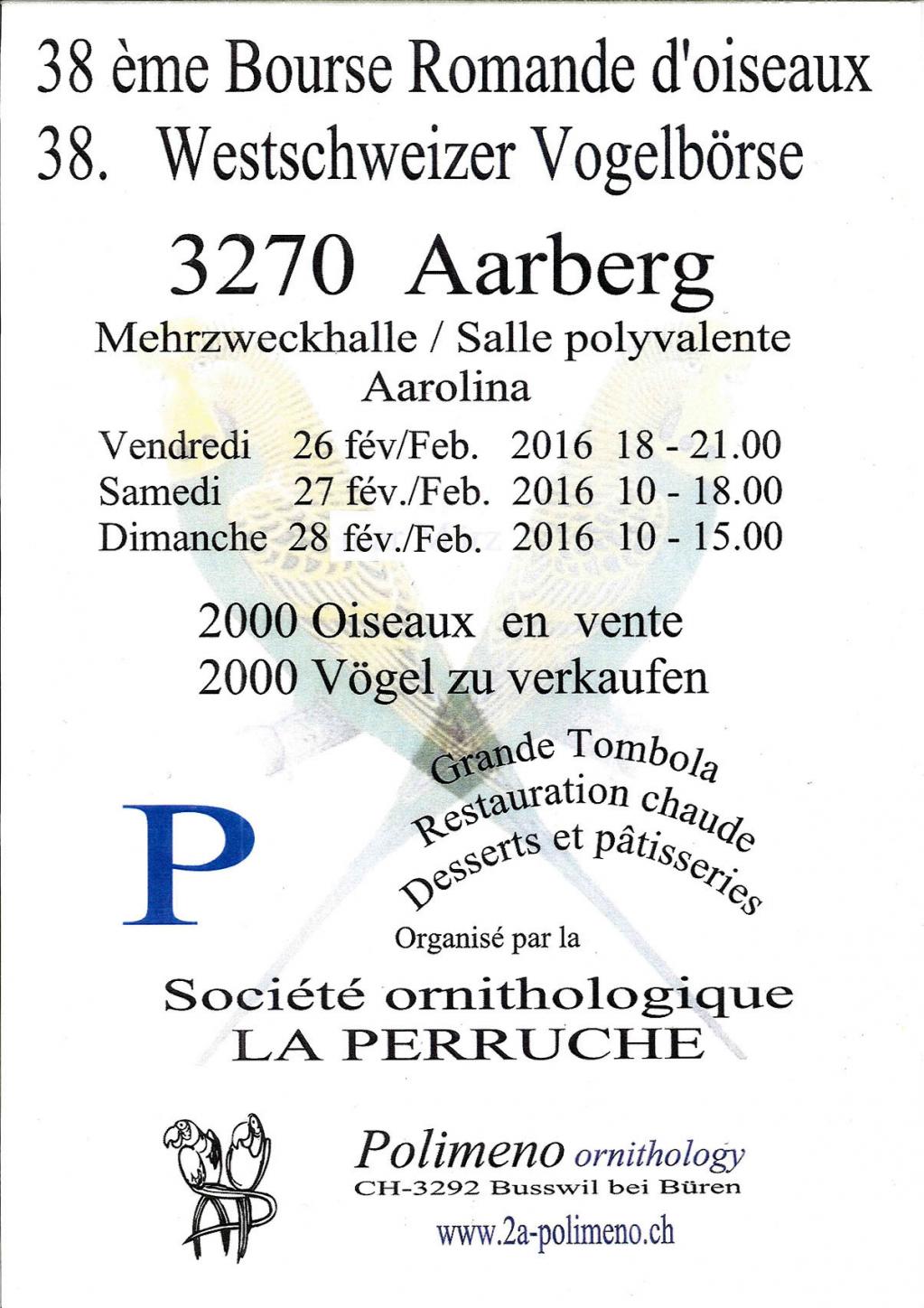 Affiche perruche 2016 1